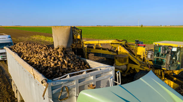 agricultural Conveyor belt