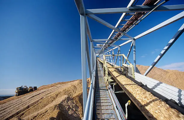 Rubber conveyor Belt for forestry Industry